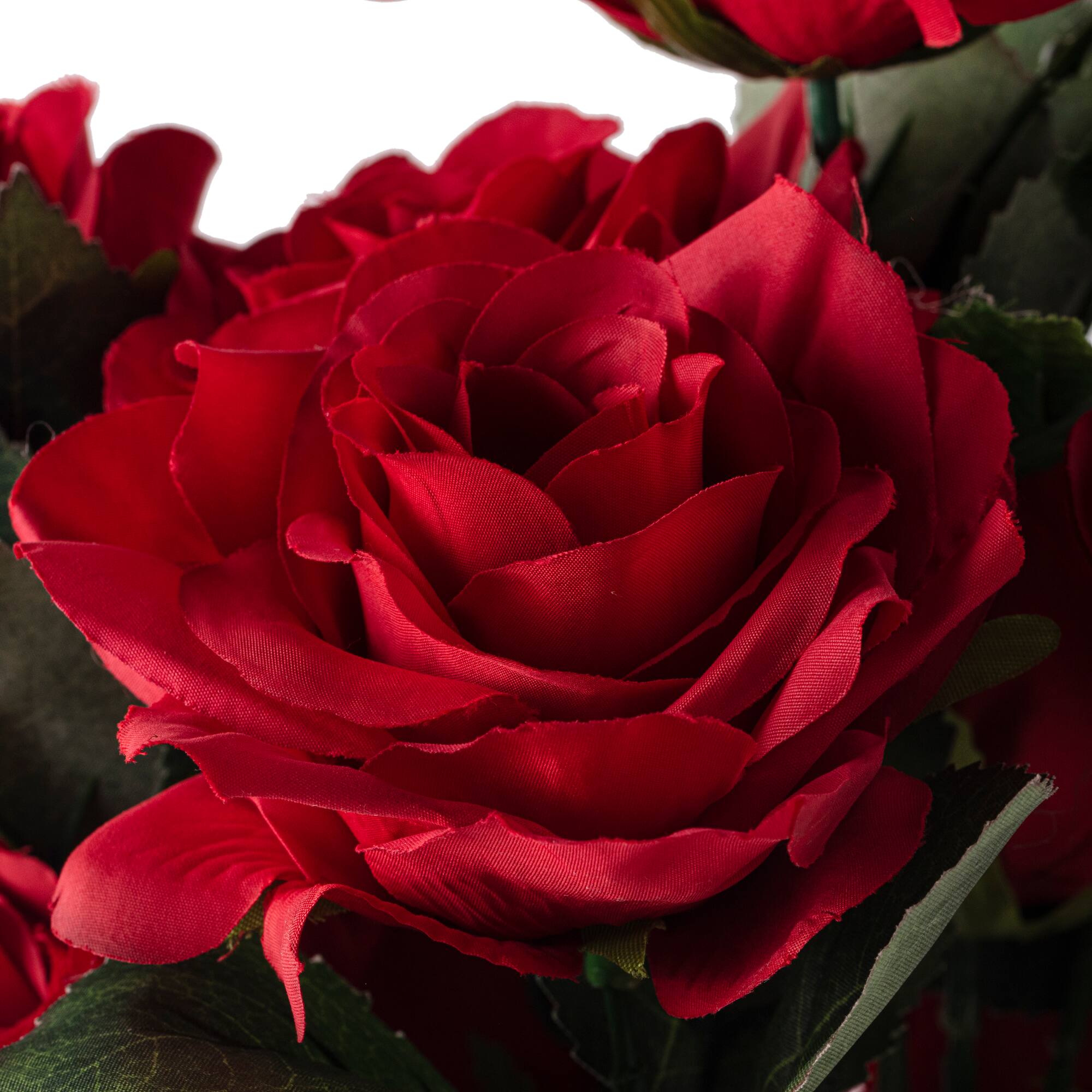 12 Pack: Red Rose Bush by Ashland®